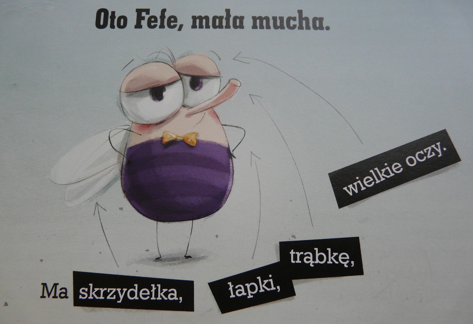 Ejotkowe postrzeganie świata: Marta Galewska-Kustra "Z muchą na luzie