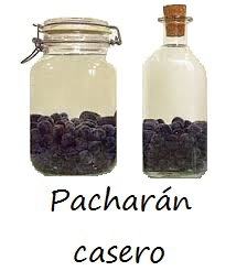 Todo sobre el pacharán casero