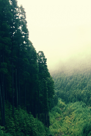 hd wallpapers for mobile hd wallpapers for mobile phones. hd wallpapers for mobile