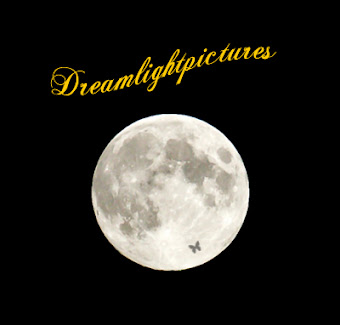 ♥ Willkommen bei Dreamlightpictures