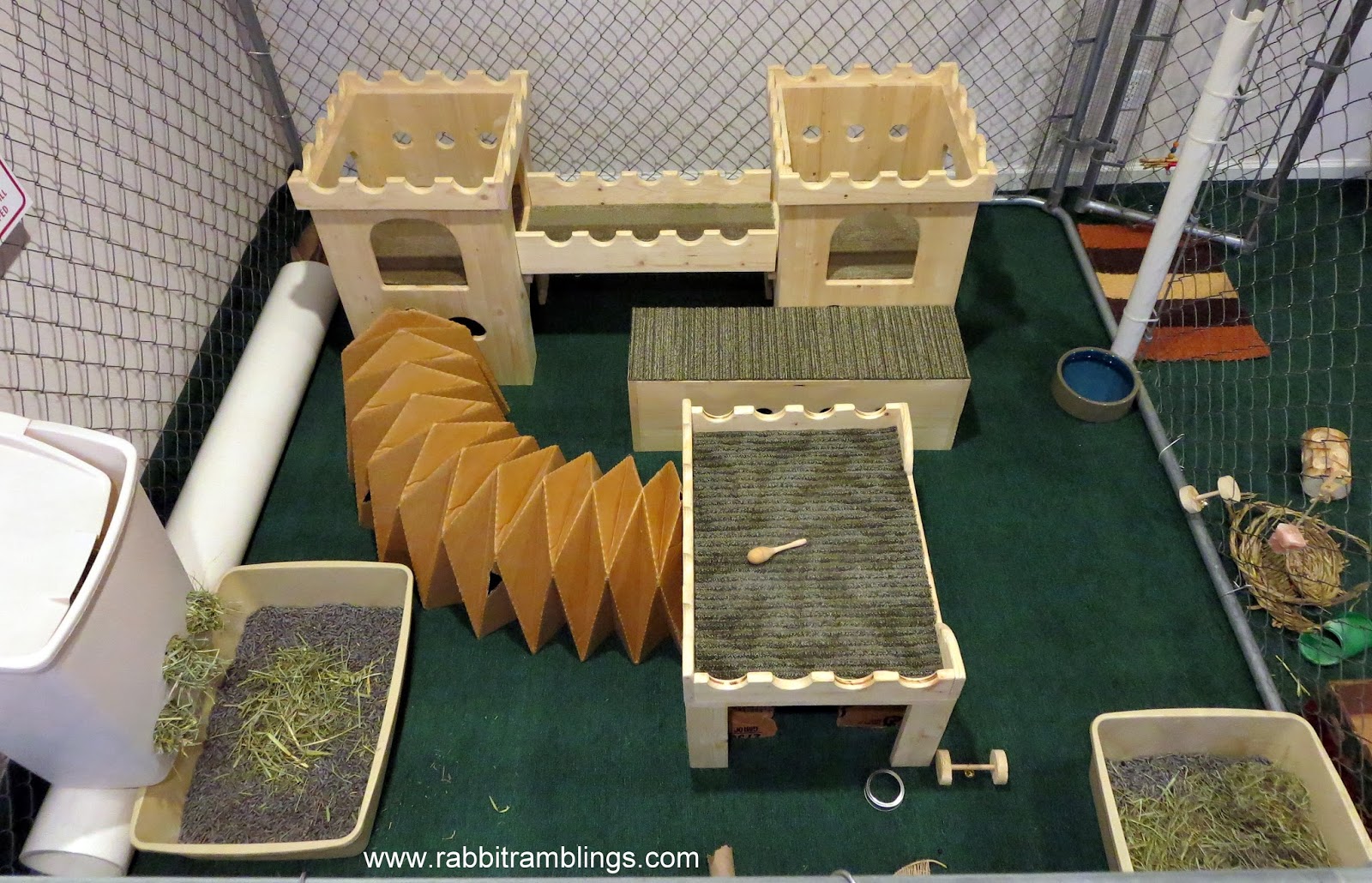 Rabbit Ramblings Shaking up the bunny pen