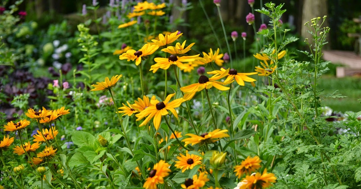 Wedding Flowers from Springwell: Black Eyed Susans for Summer Bouquets