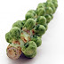 BRUSSELS SPROUT WIF HONEY MUSTARD