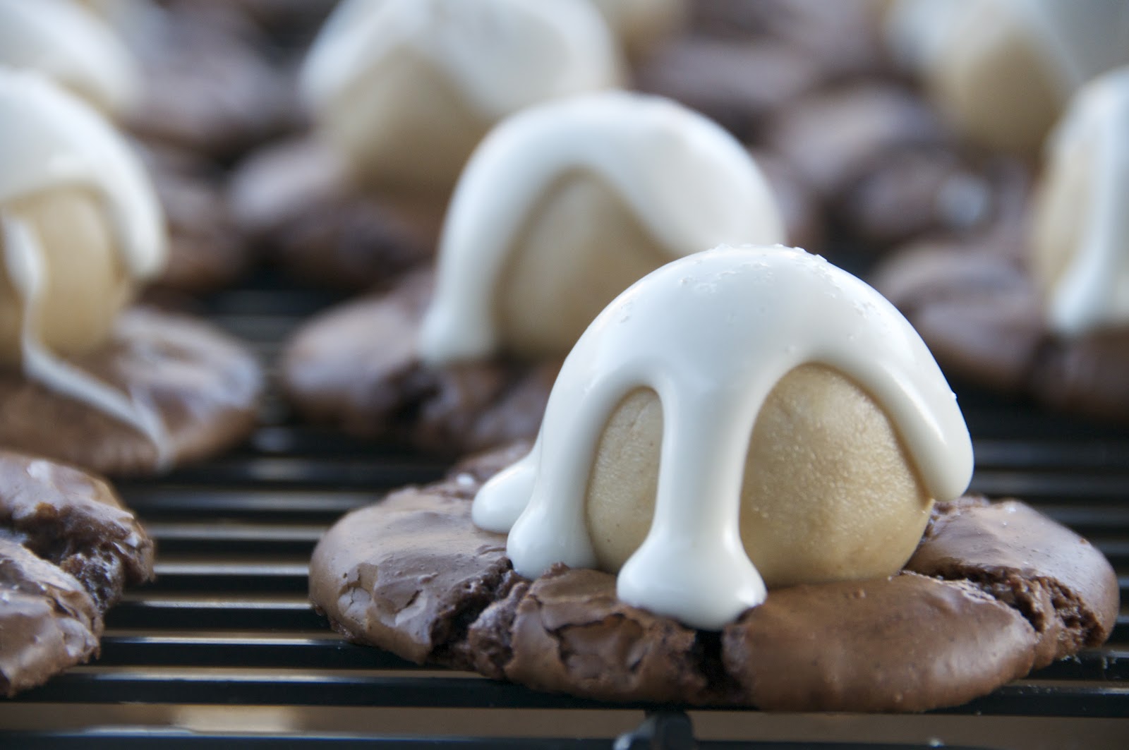 see you in the morning chocolate peanut butter ball cookies