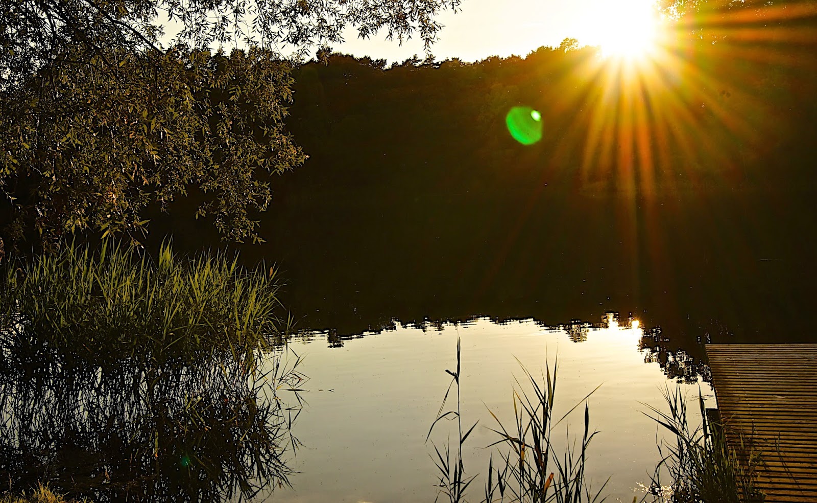 Unterwegs Mit Dem Auto Klaus Metzger Jutta Hartmann Metzger