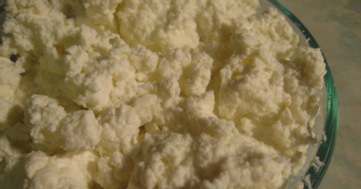Carpe Cibus Homemade Buttermilk Ricotta