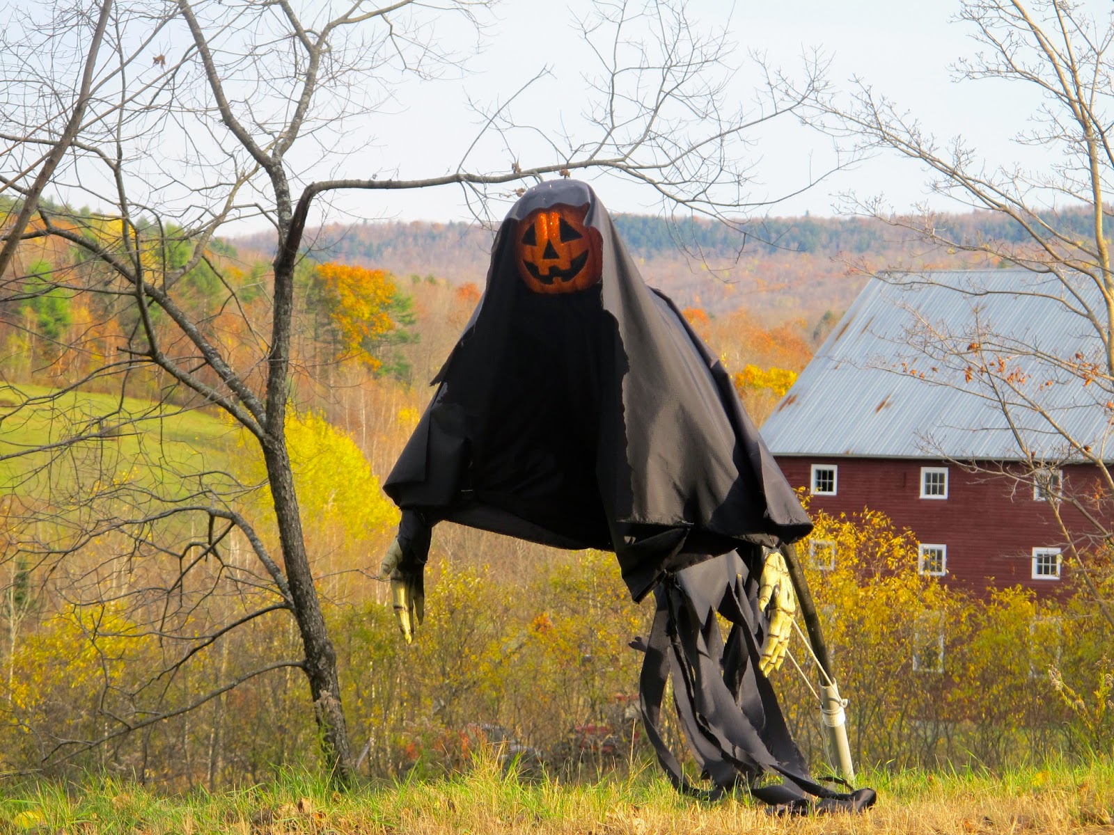 bloomingblog New England Halloween through the eyes of Pumpkin People