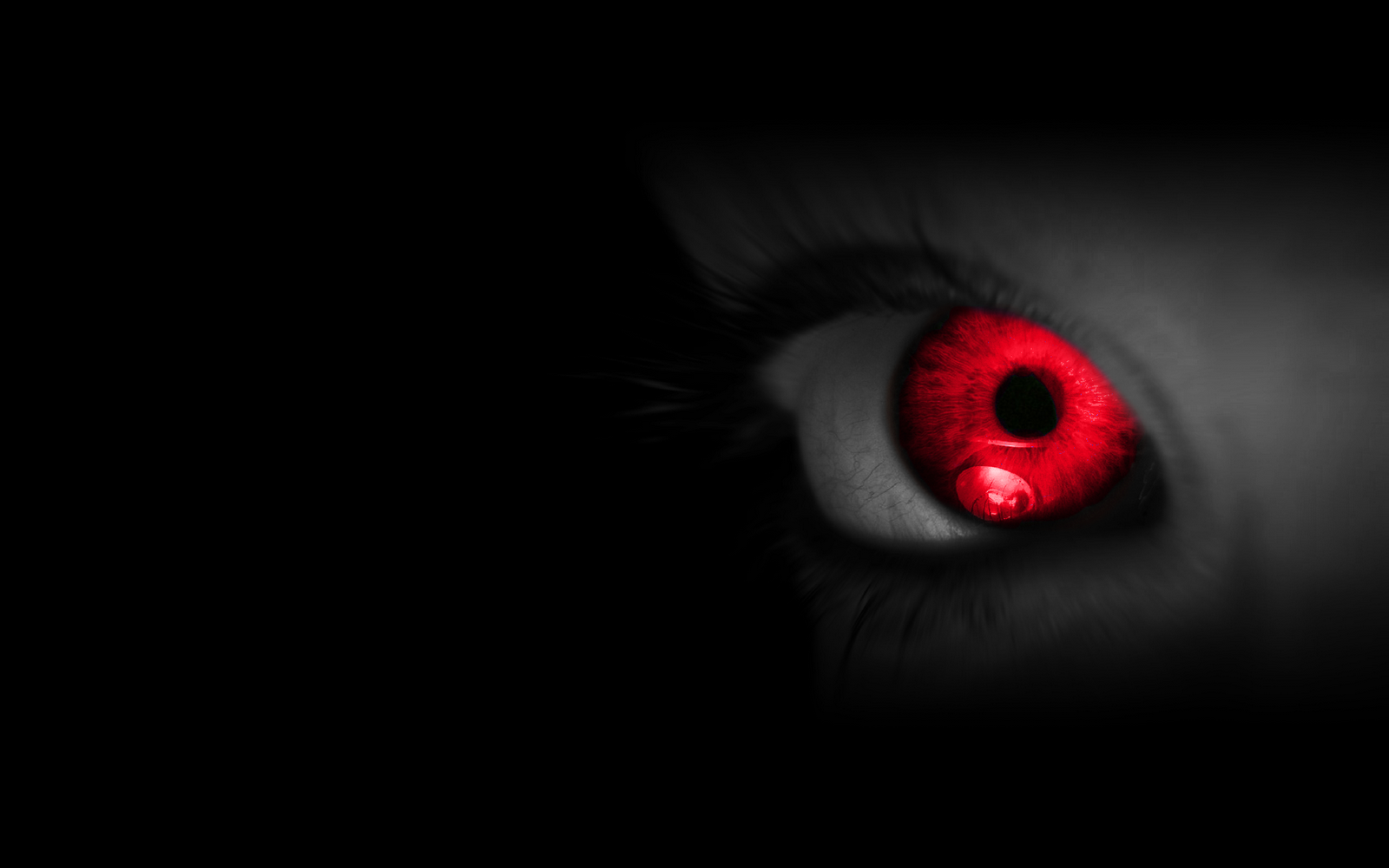 Cantara - Dark Cantara - Dark