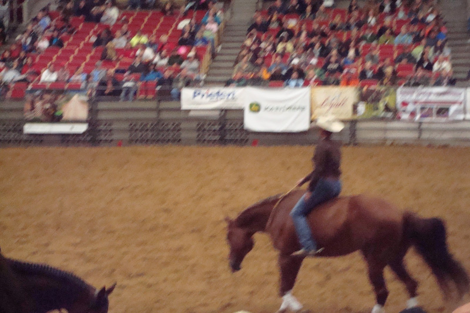 North Horse Midwest Horse Fair 2012 Hitting the Highlights