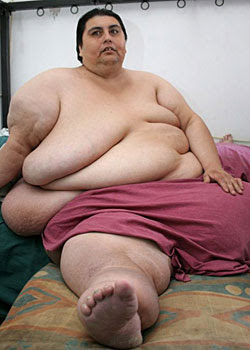 EL HOMBRE MAS GORDO DE EL MUNDO el hombre mas gordo de el mundo: