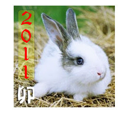 Astrology Forecast for 2011 Year of the Metal Rabbit