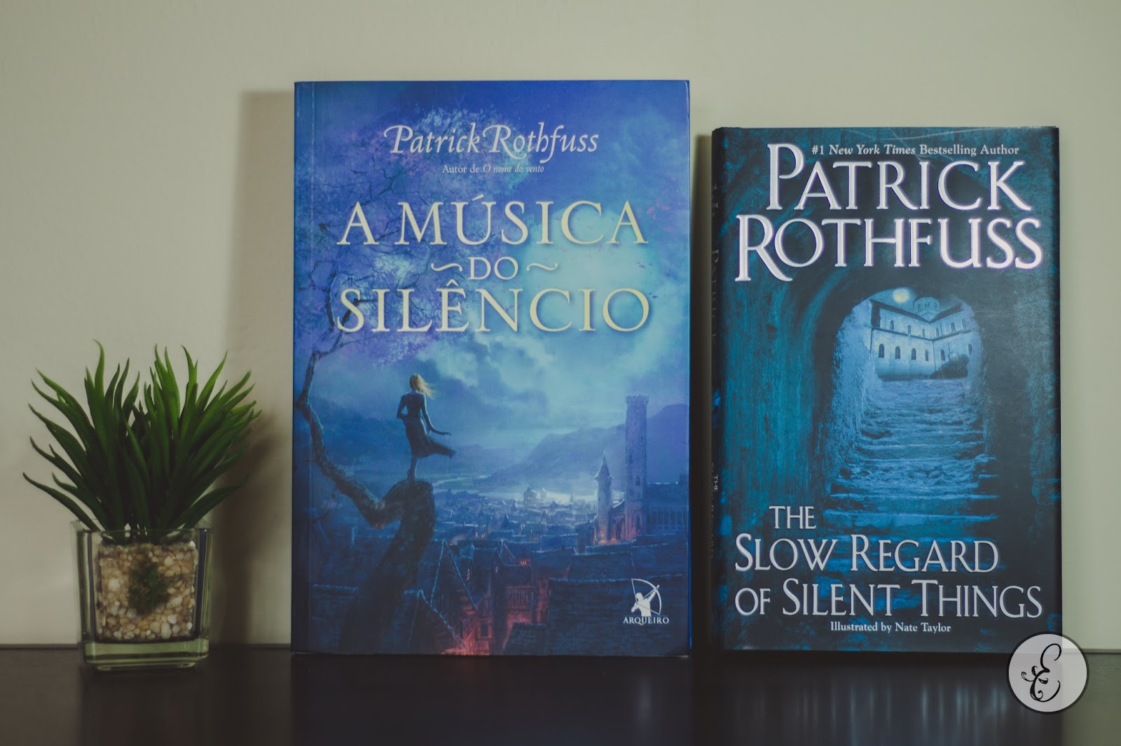 Auri & Cheney: Patrick Rothfuss' The Slow Regard of Silent Things – Songs &  Stories
