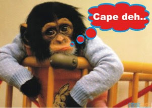 cape deh cape deh