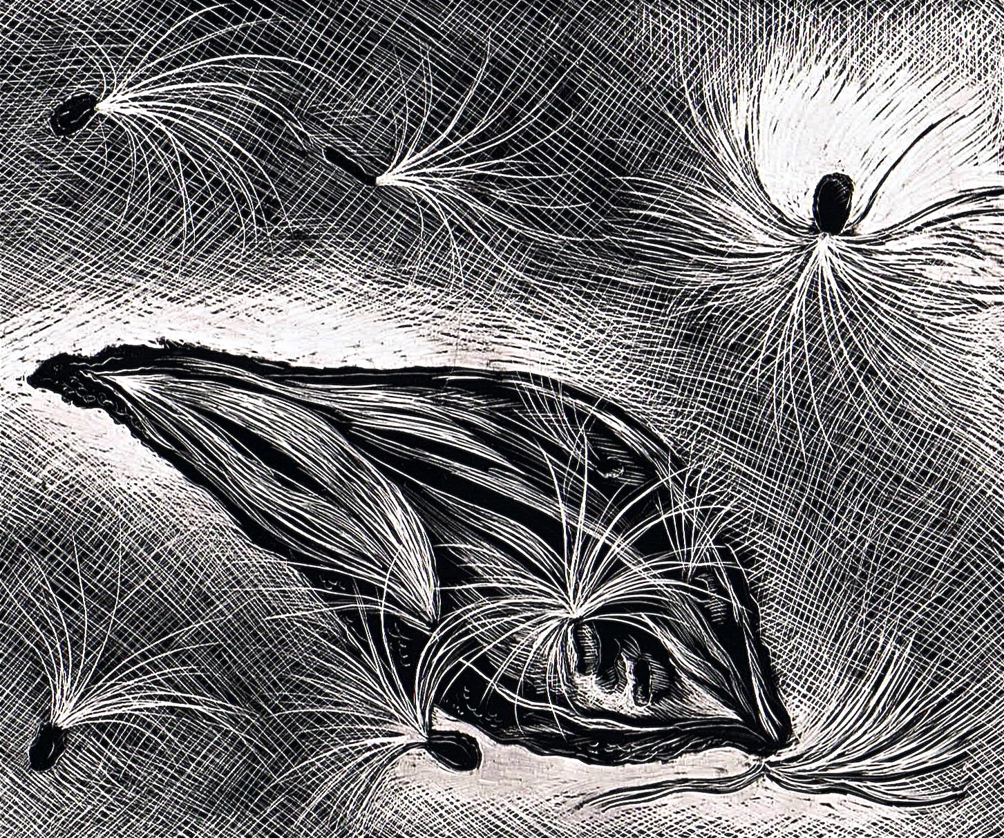 Scratchboard. (removal of dark to reveal light) http//img1.etsystatic