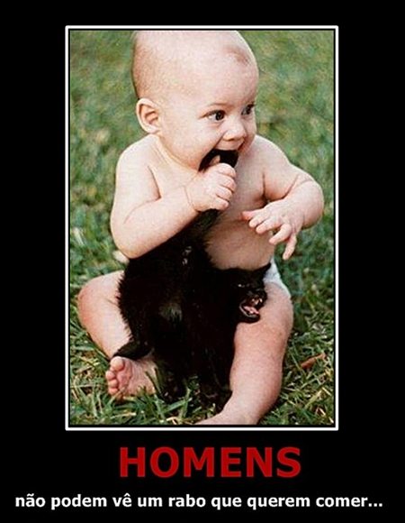 Desmotivacionais ,Humor ,Cachorros , OGatoNinja.blogspot.com