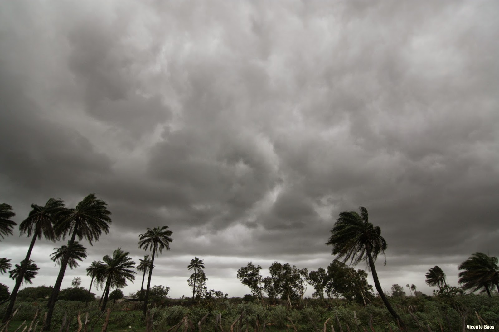 [Imagen: Cielo%2Bantes%2Bde%2Bla%2Btormenta.jpg]