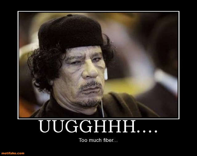 Muammar gaddafi demotivational posters Muammar gaddafi demotivational posters