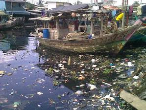 Sea pollution images - Jakarta Bay, moaning crushed Pollutants, jakarta pollution
