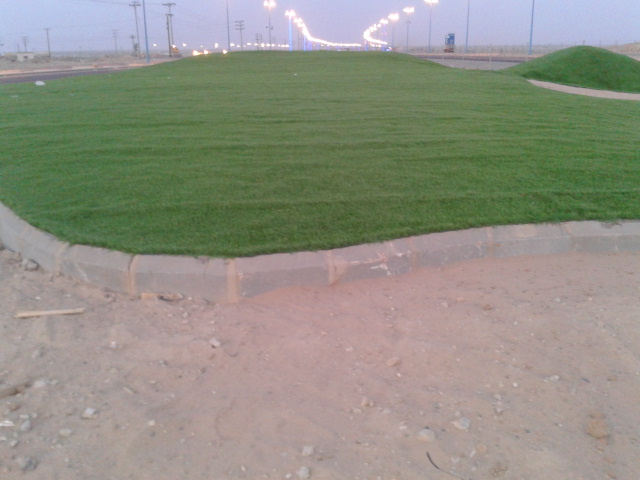SaudiElectric