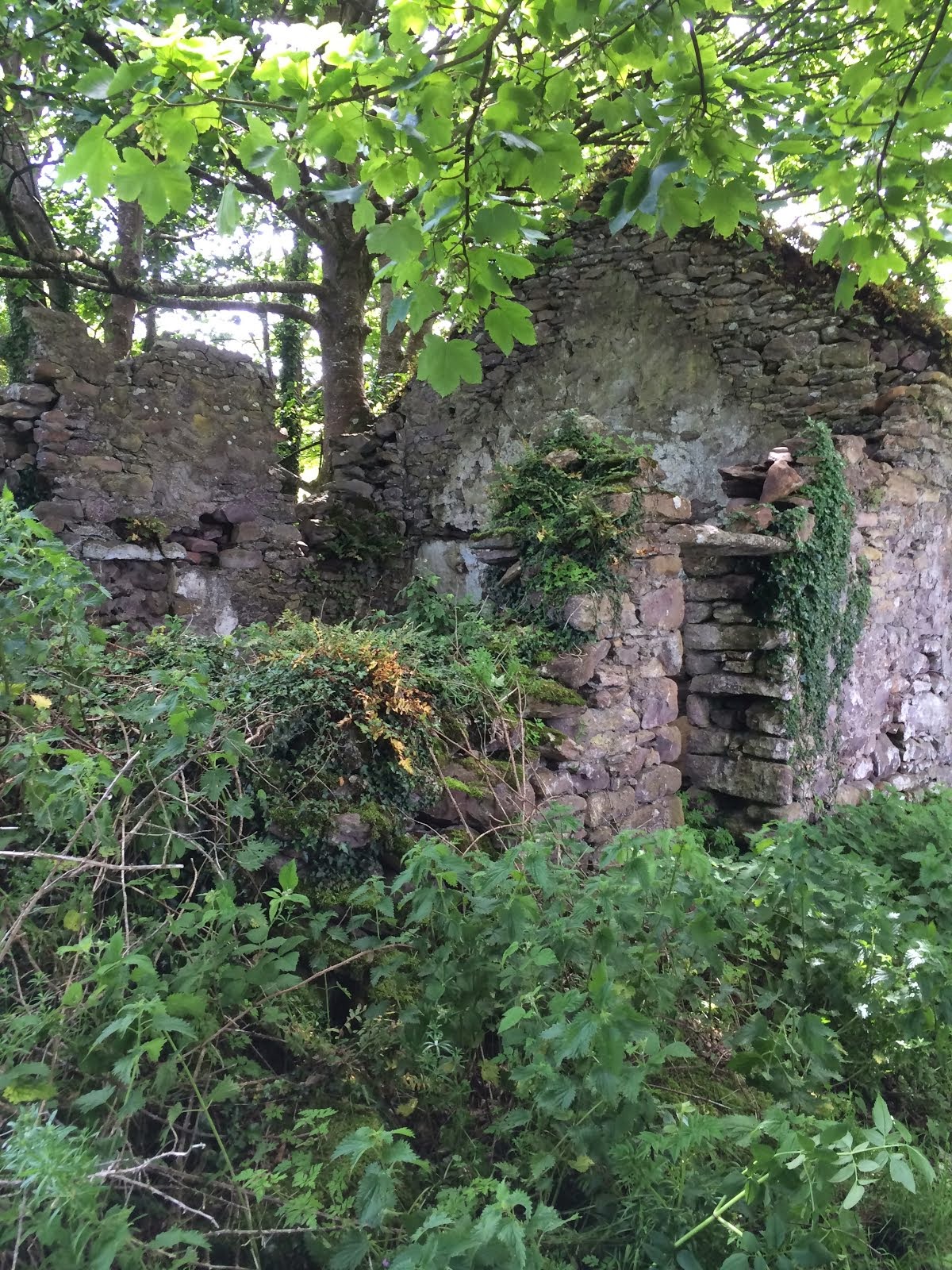 The ruins of a stone cottage