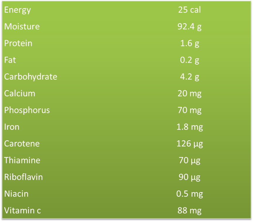 Therapeutic Values of Bitter Gourd Food Magazine