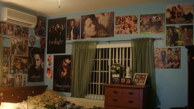 Twilight Saga Bedroom Decor