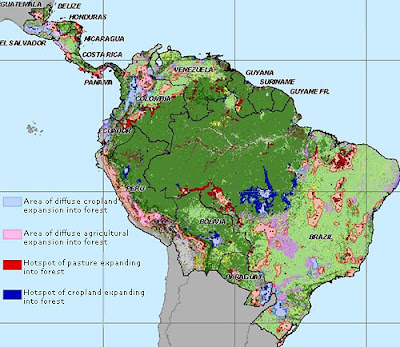 deforestacion amazonas, estado selva amazonas, amazonas, selva amazonica, amazonia