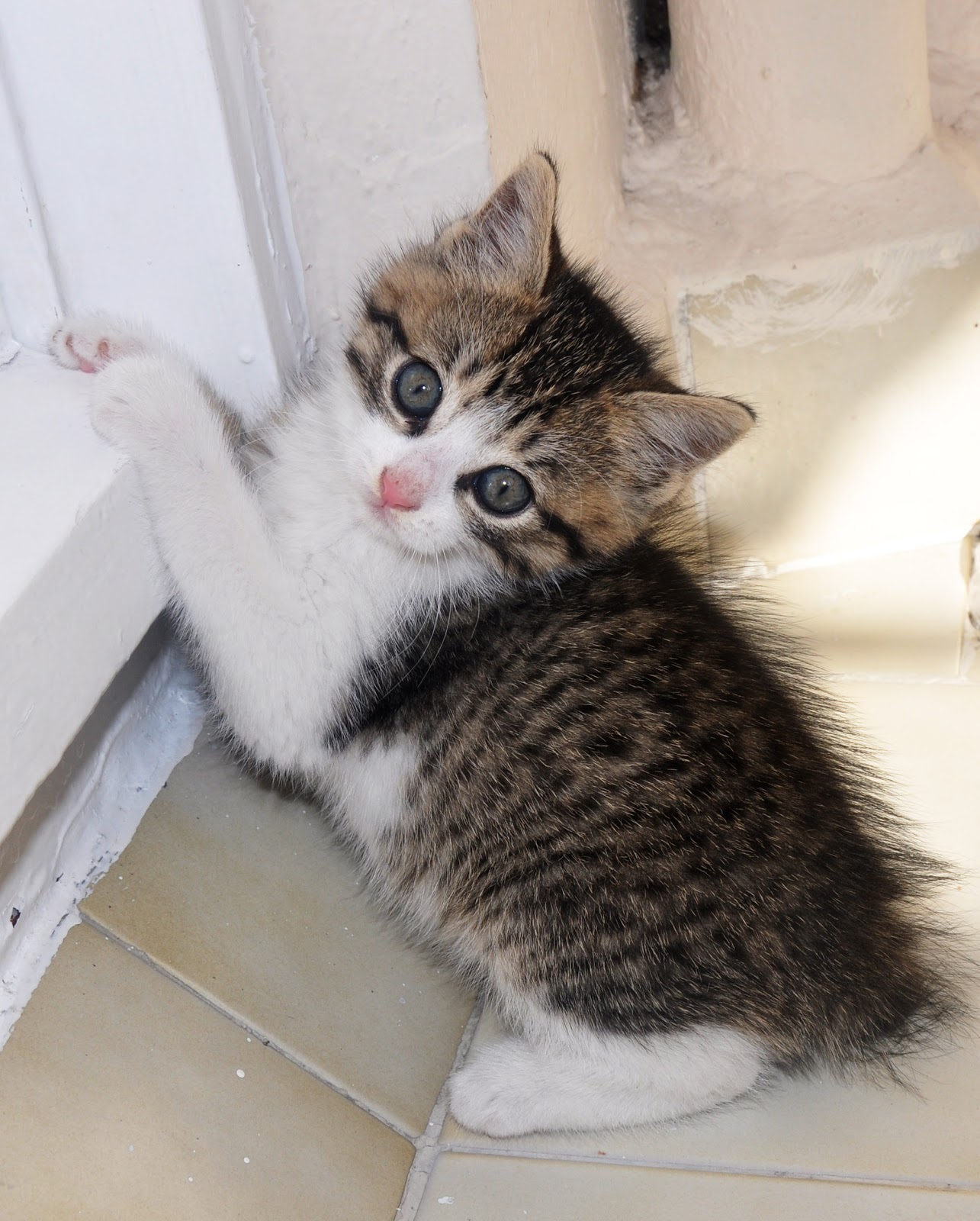 bayan çokbilmiş Kasım 2012