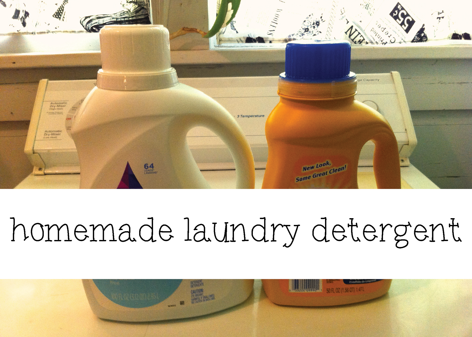 Marla, Plain and Small DIY Laundry Detergent (No Grating, No Cooking