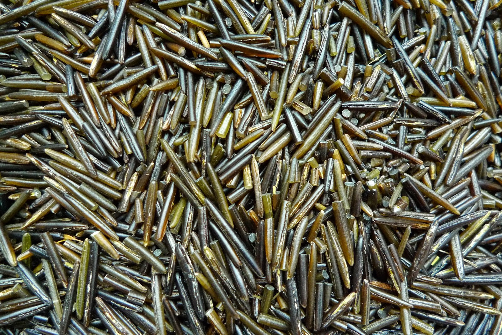 Wild Harvests Wild Rice Cascadian Style