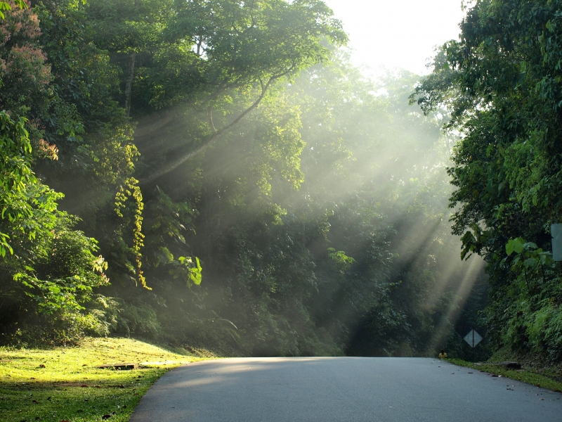 Unknown to most, deep inside the ground is a 6m-wide tunnel that criss-crosses Singapore from Kranji to Changi.