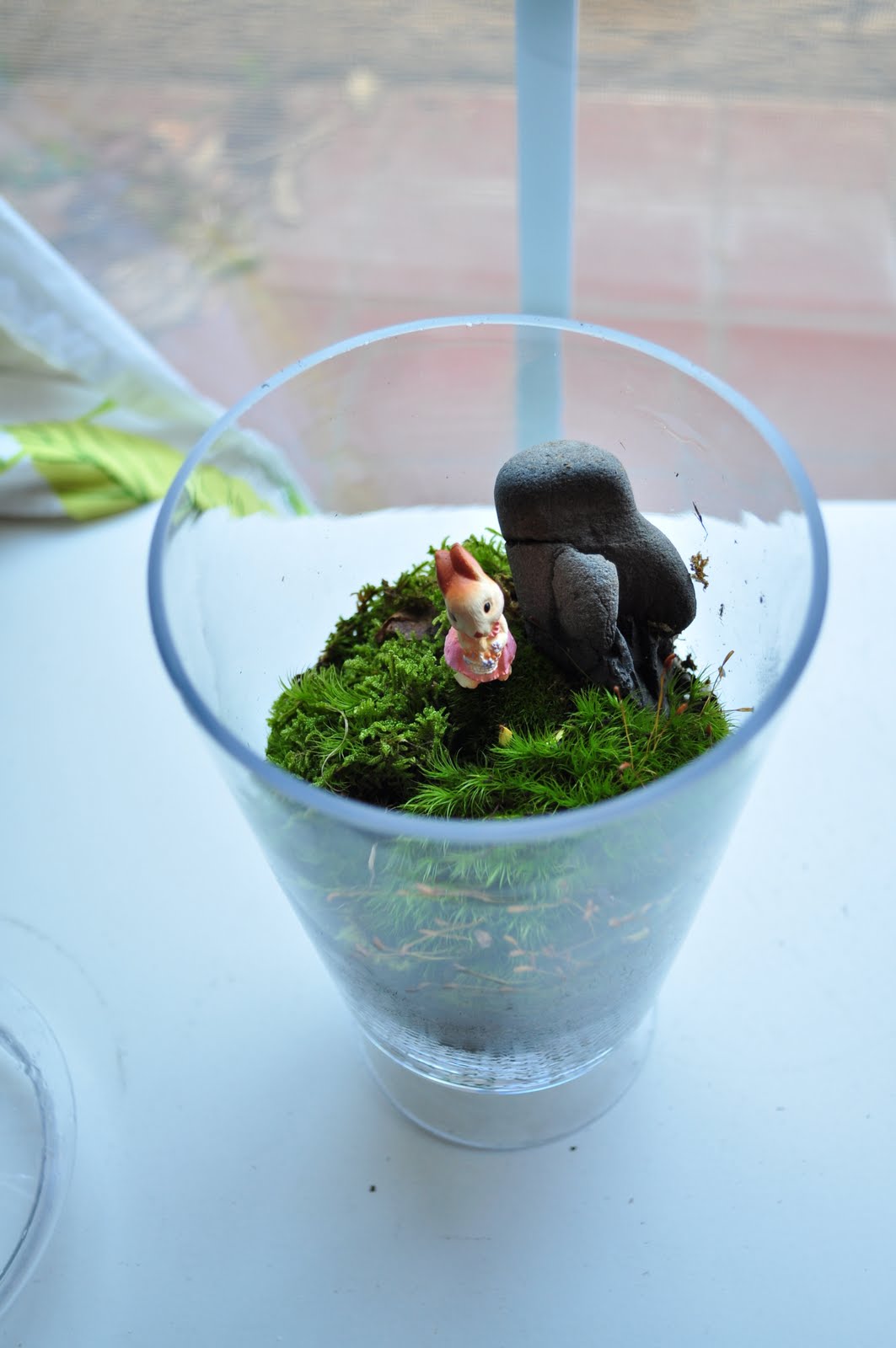 Terrarium & Timmy bunny rabbit terrarium
