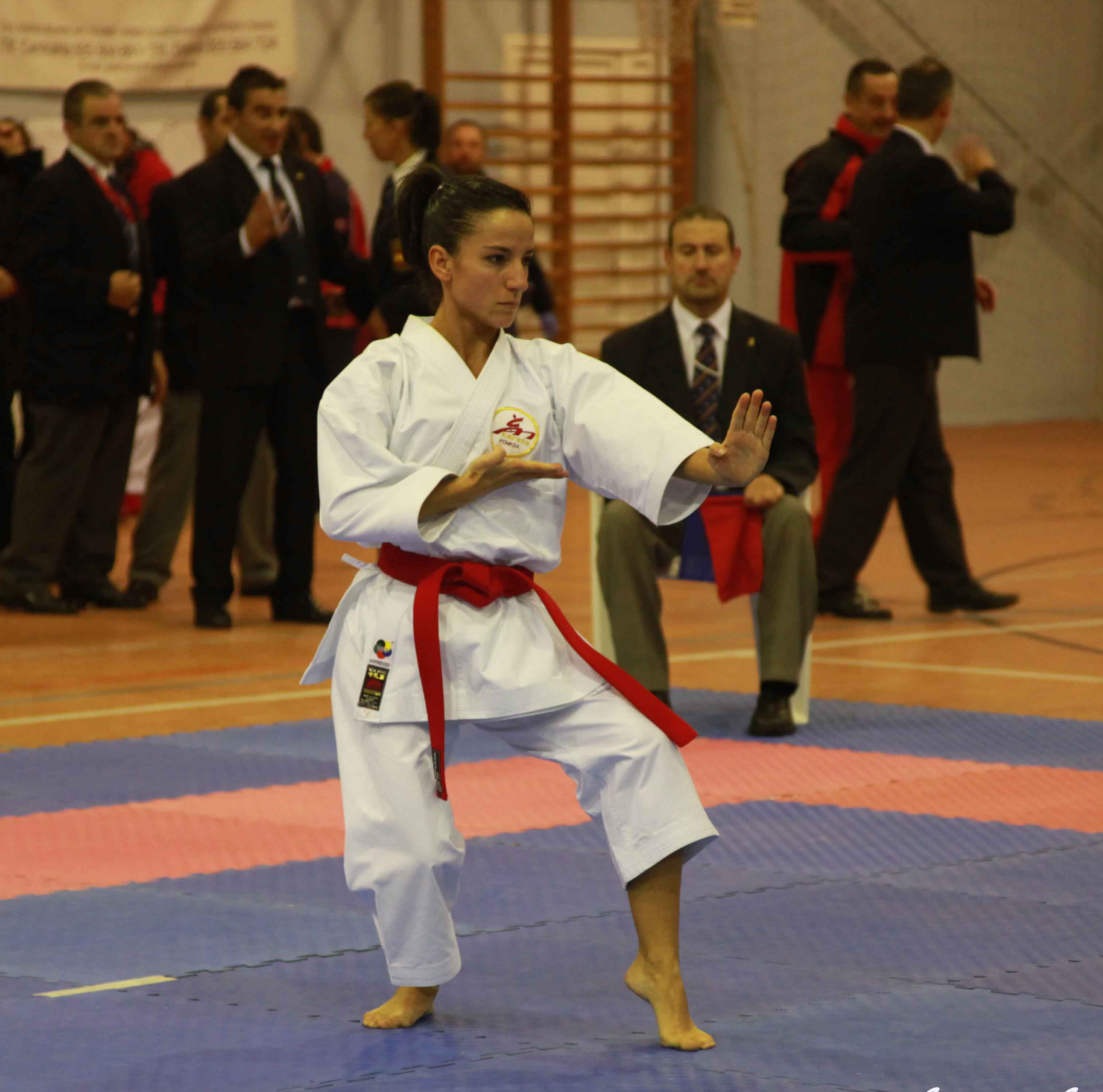 KARATEDO 空手道 XIV Trofeo Internacional de Karate Junta de Comunidades