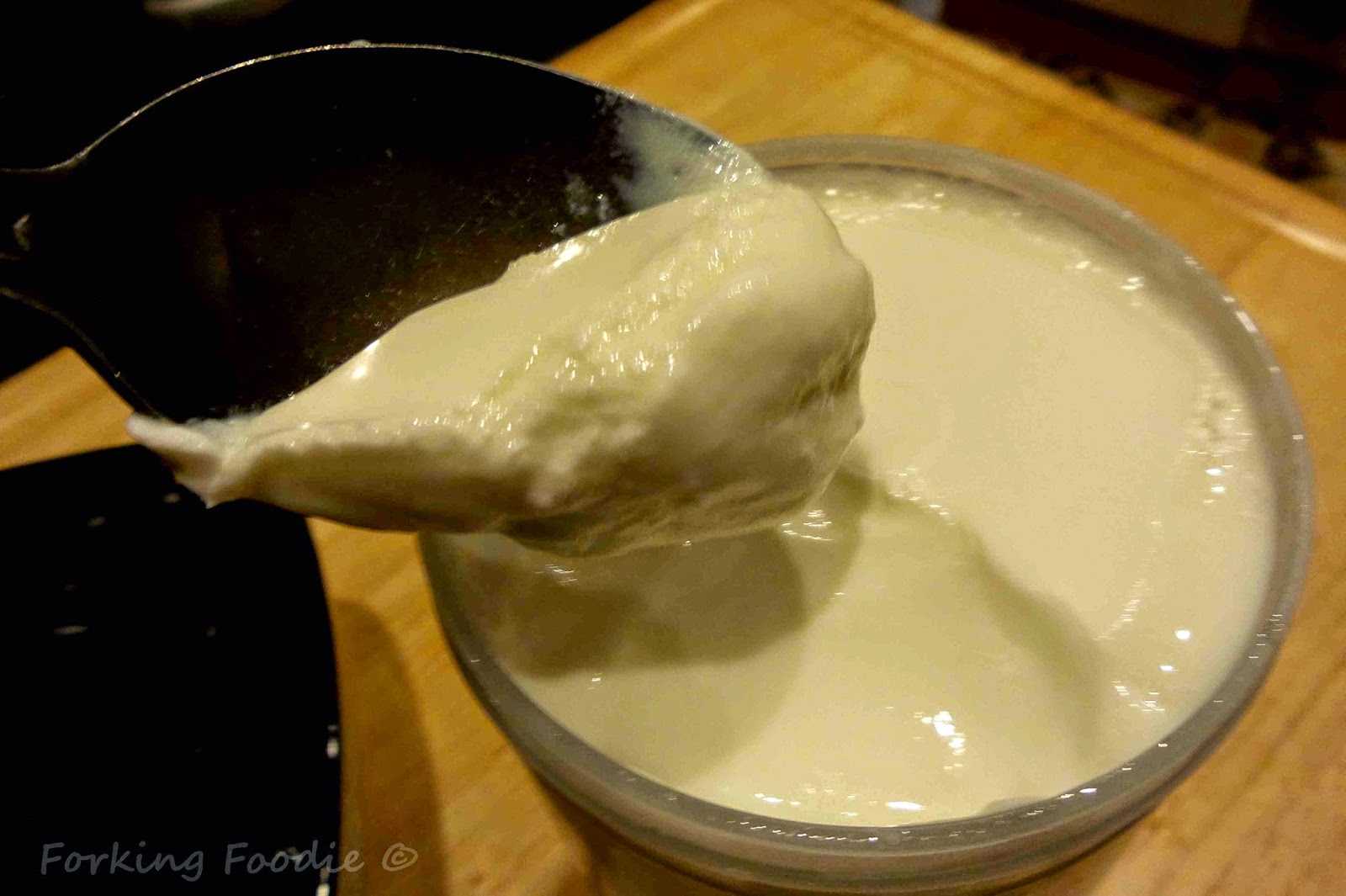 Forking Foodie Lactose Free Thick and Creamy Yoghurt with Thermomix