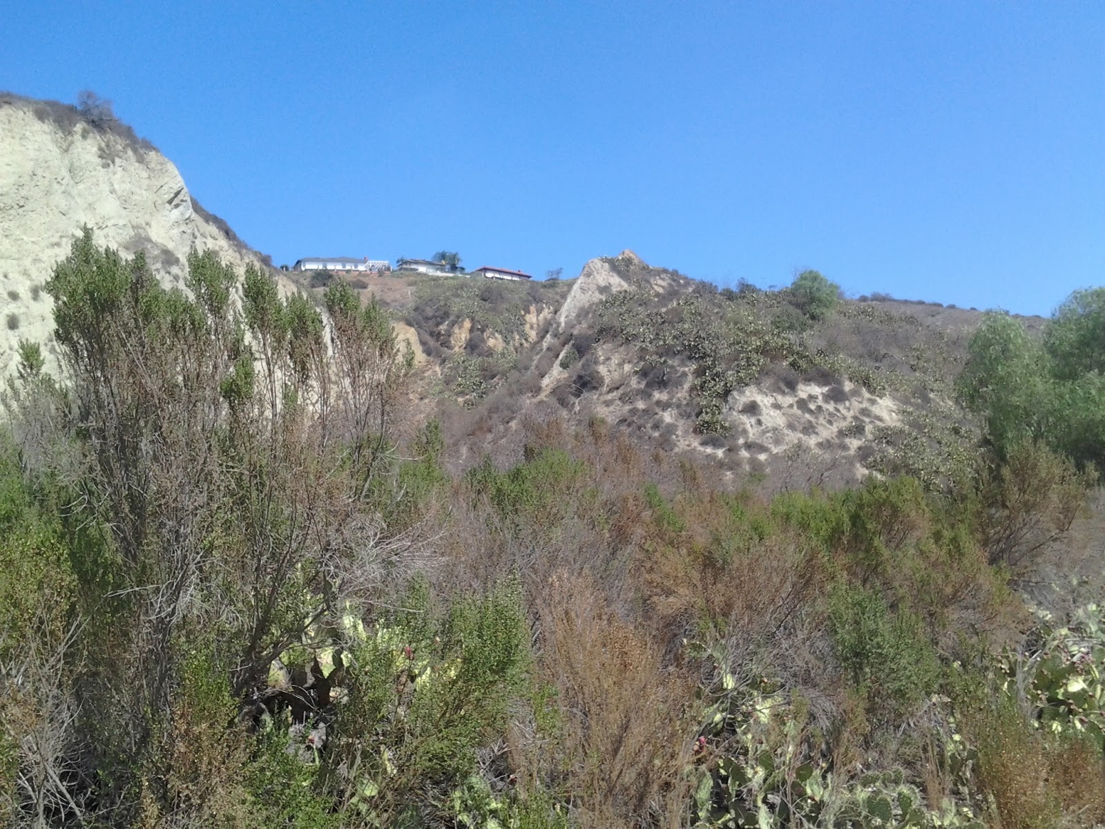Turnbull Canyon Whittier, CA Sycamore Canyon, Whittier, California