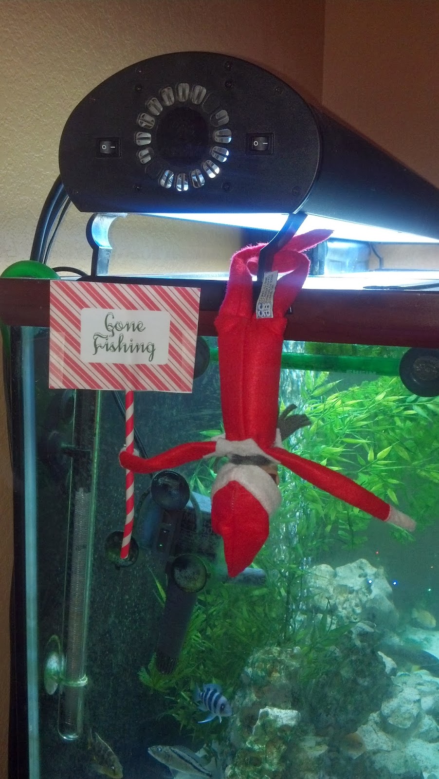 Learning As I Sew...bake, cut, and create Elf on the Shelf Gone