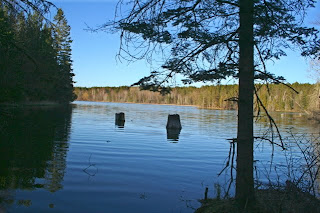 Trout Brook Pond Trout Brook Pond