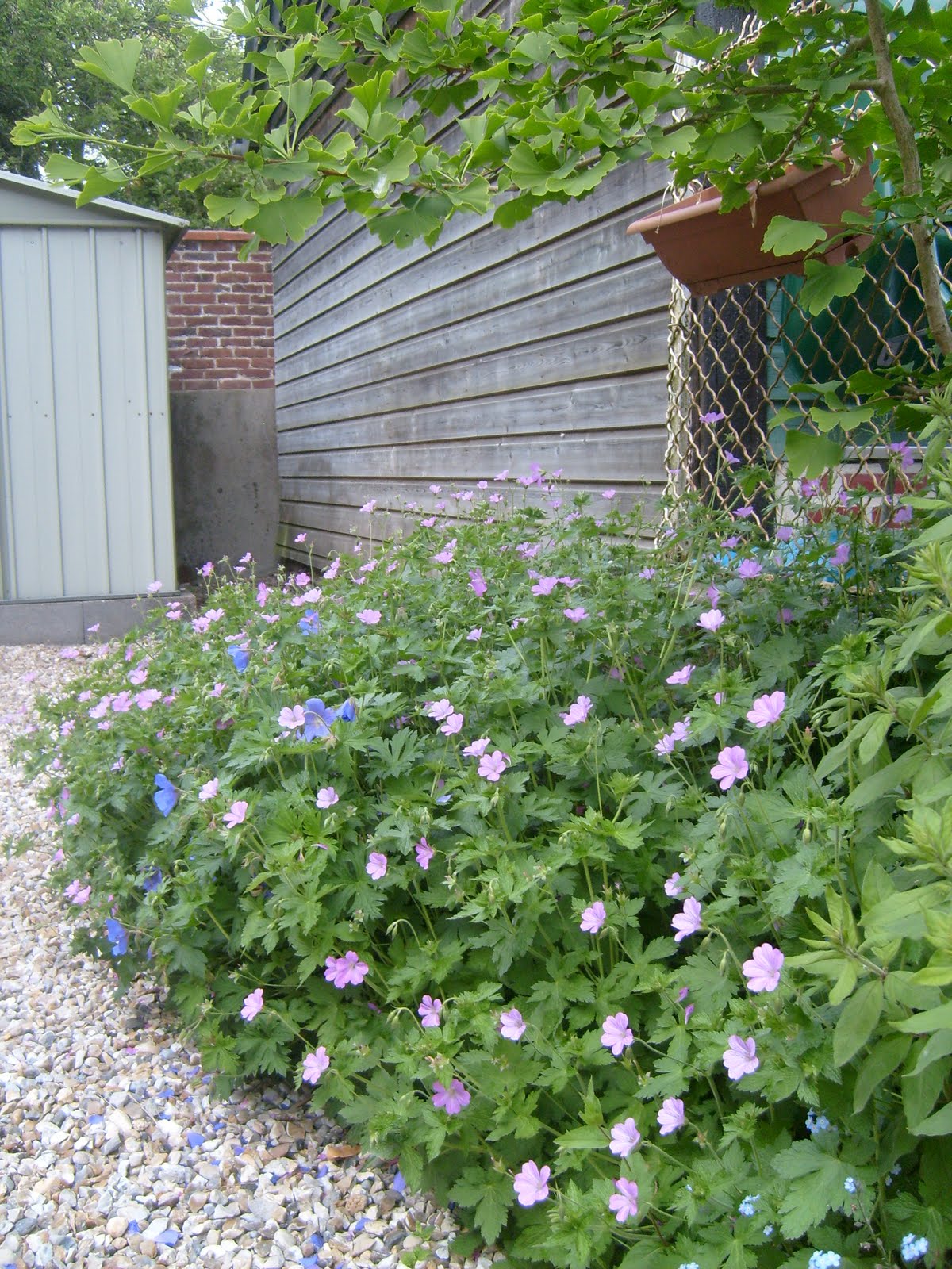 Milie et compagnie: bilan