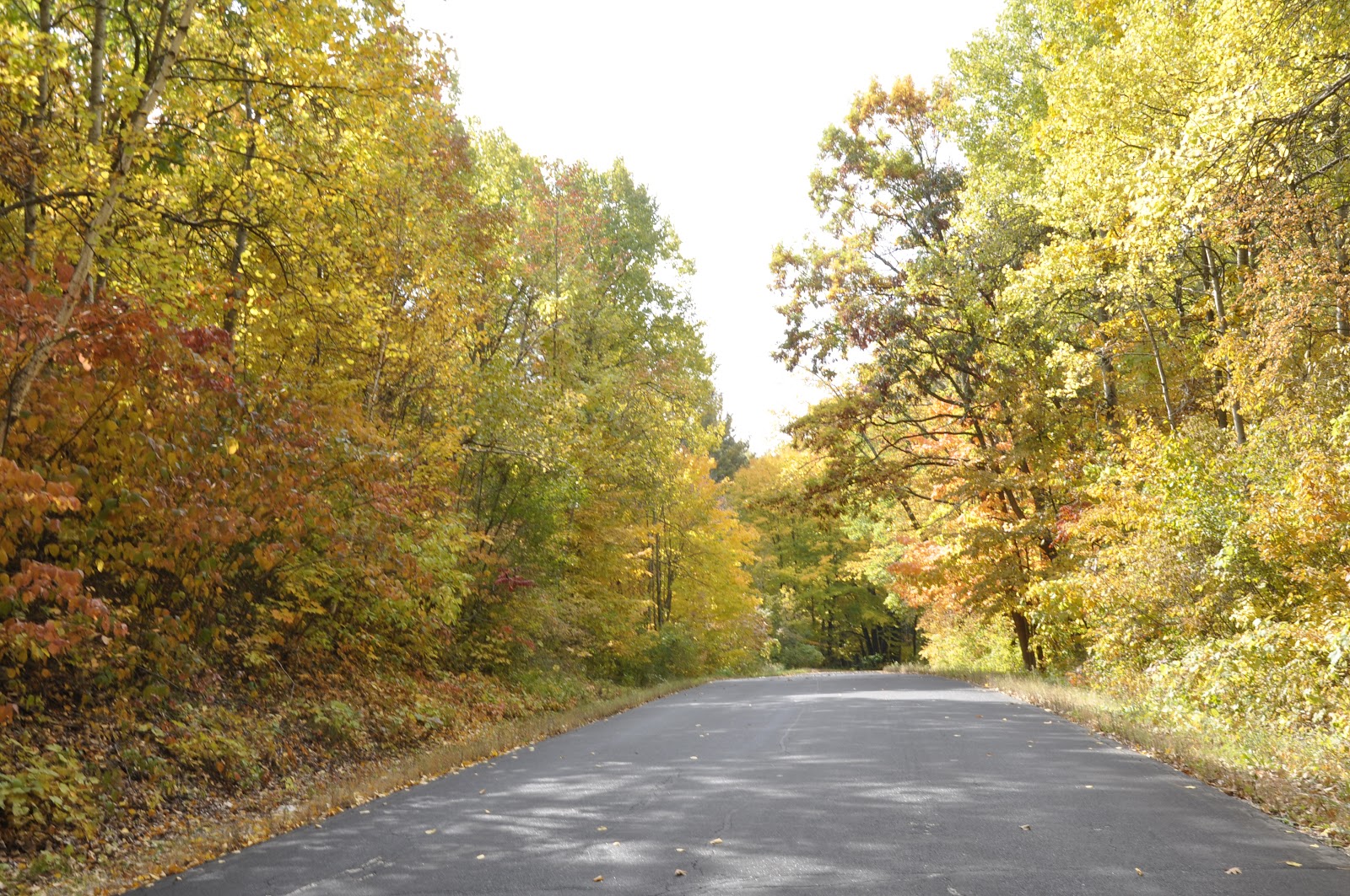 Milwaukee Area Parks Kettle Moraine Scenic Drive