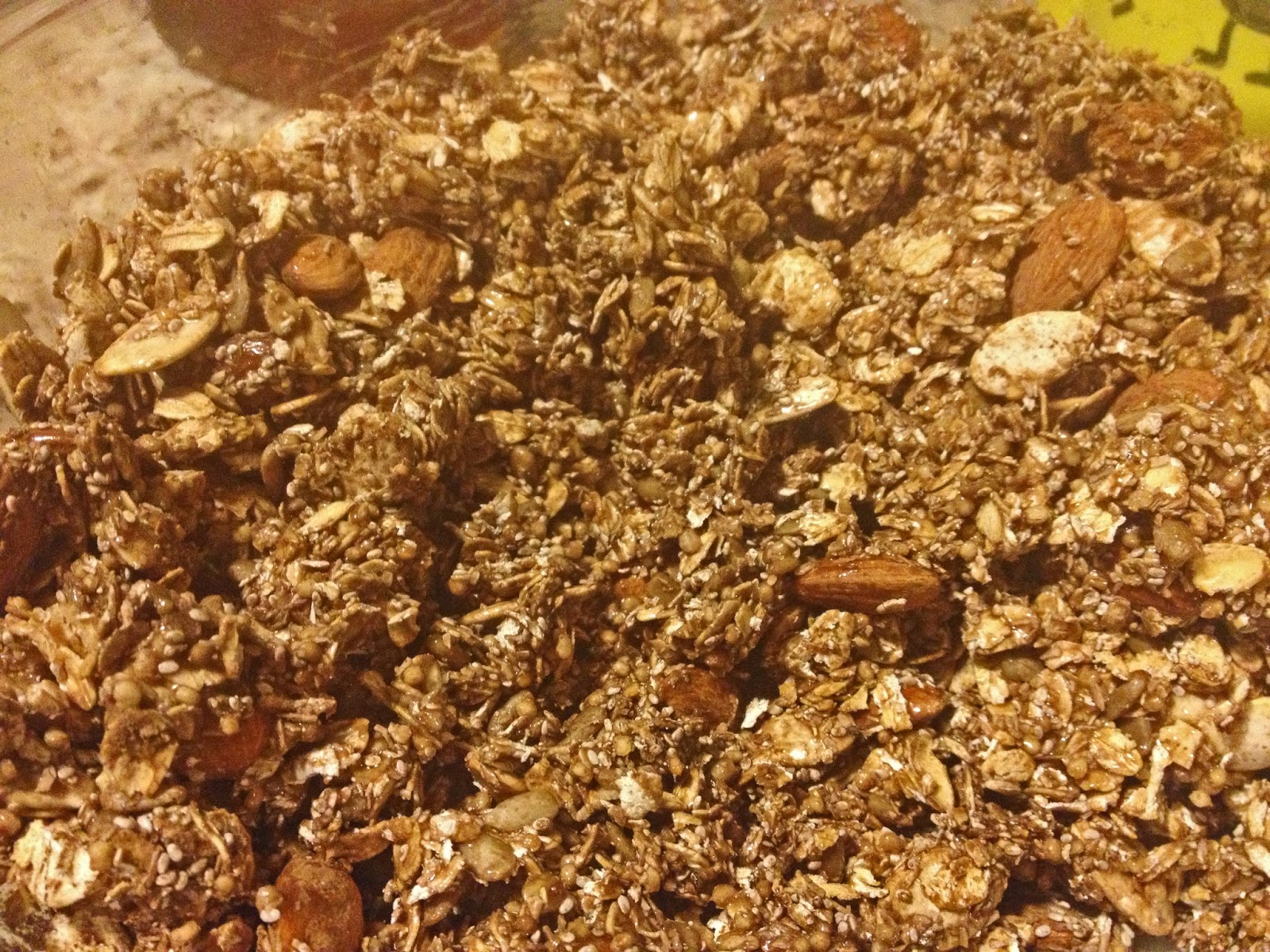 Loving Green Chocolate Seed Granola (Oil Free)