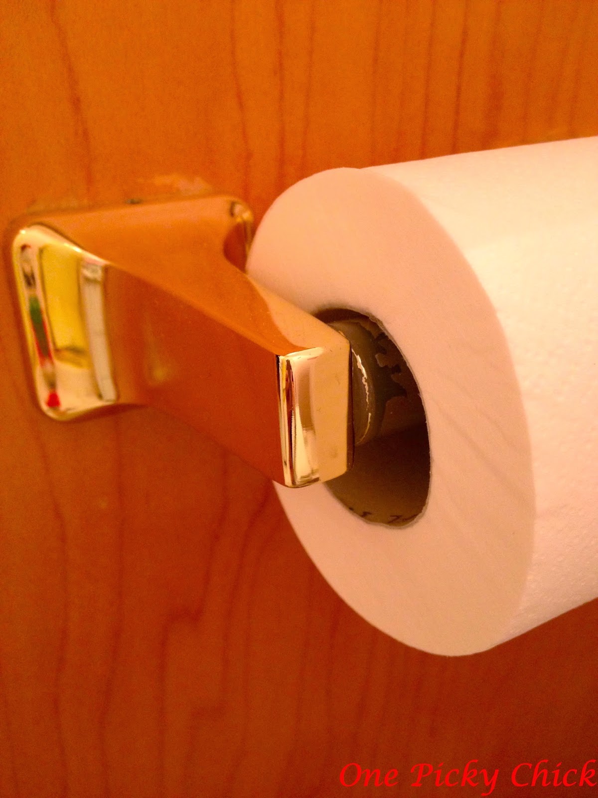 Spray Paint Toilet Paper Holder at Fannie Moreno blog