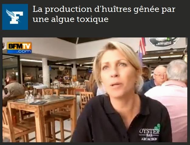 http://video.lefigaro.fr/figaro/video/la-production-d-huitres-genee-par-une-algue-toxique/3588709239001/