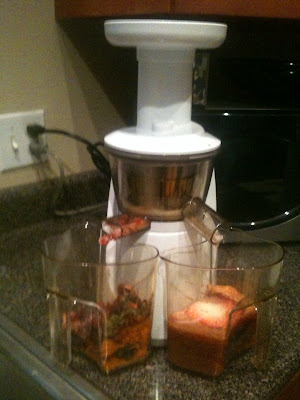 Hurom Slow Juicer Bed Bath And Beyond Hurom Slow Juicer Bed Bath And Beyond