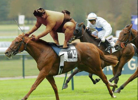 Funny Sports Pictures Funny Sports Pictures