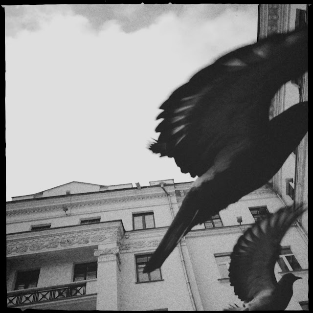Some streetshots with pigeons - Minsk, Belarus