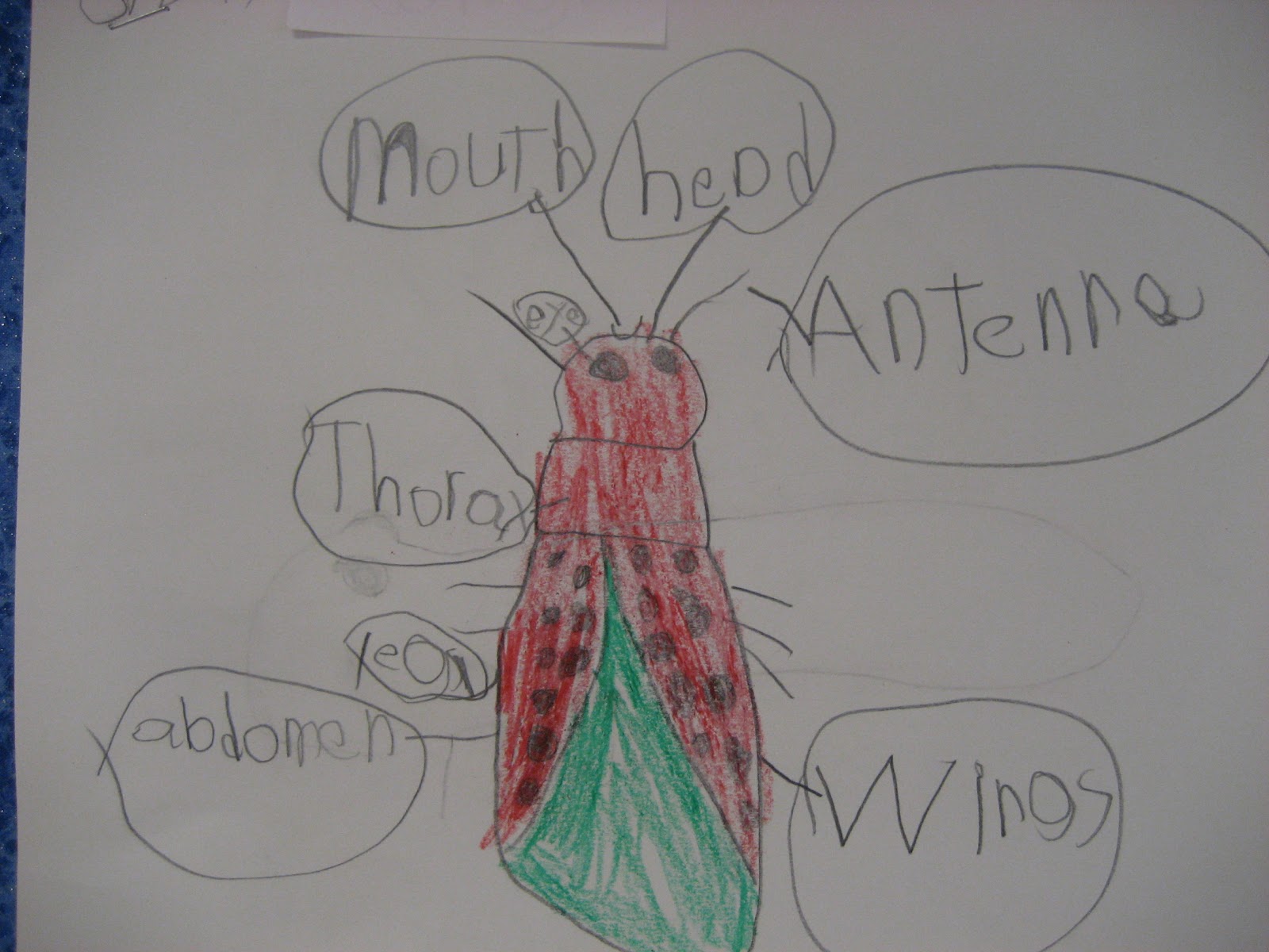 Kinder Doodles March 2012