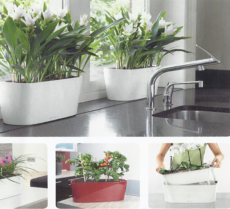 lechuza planter lechuza planter