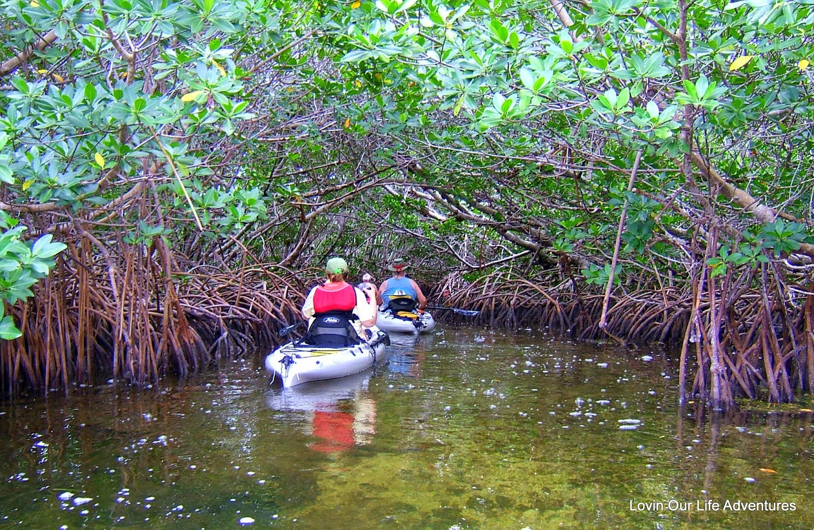 LovinOurLife Adventures Kayaking the Mangrove Tunnels of Key West