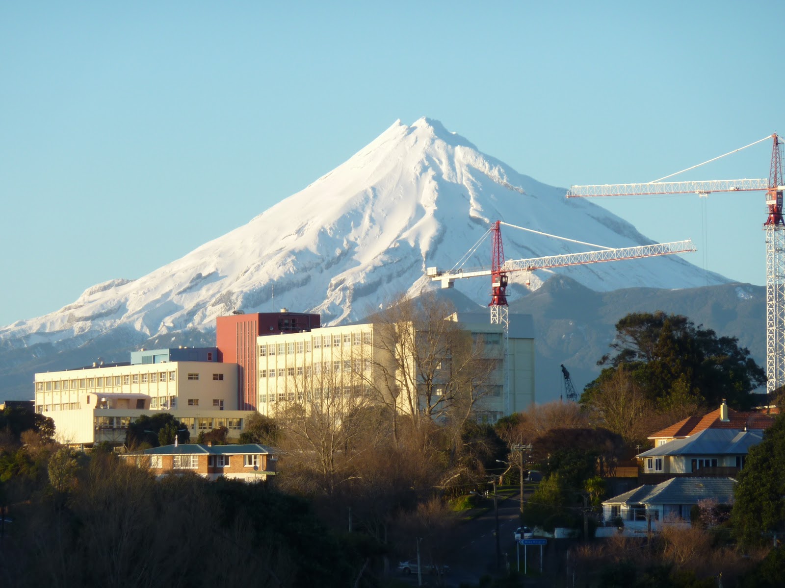Ellingtons in New Zealand Taranaki Base Hospital