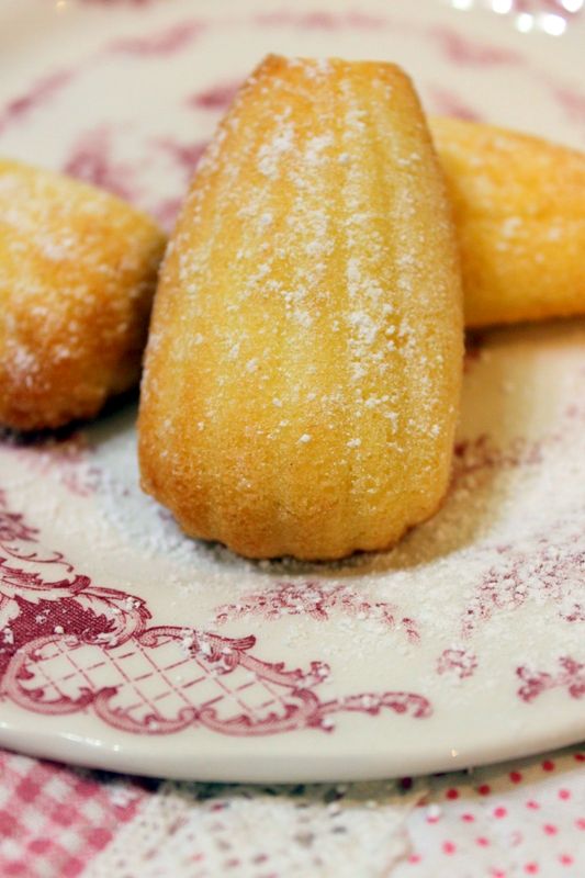 My Domestic Bliss Traditional Madeleines